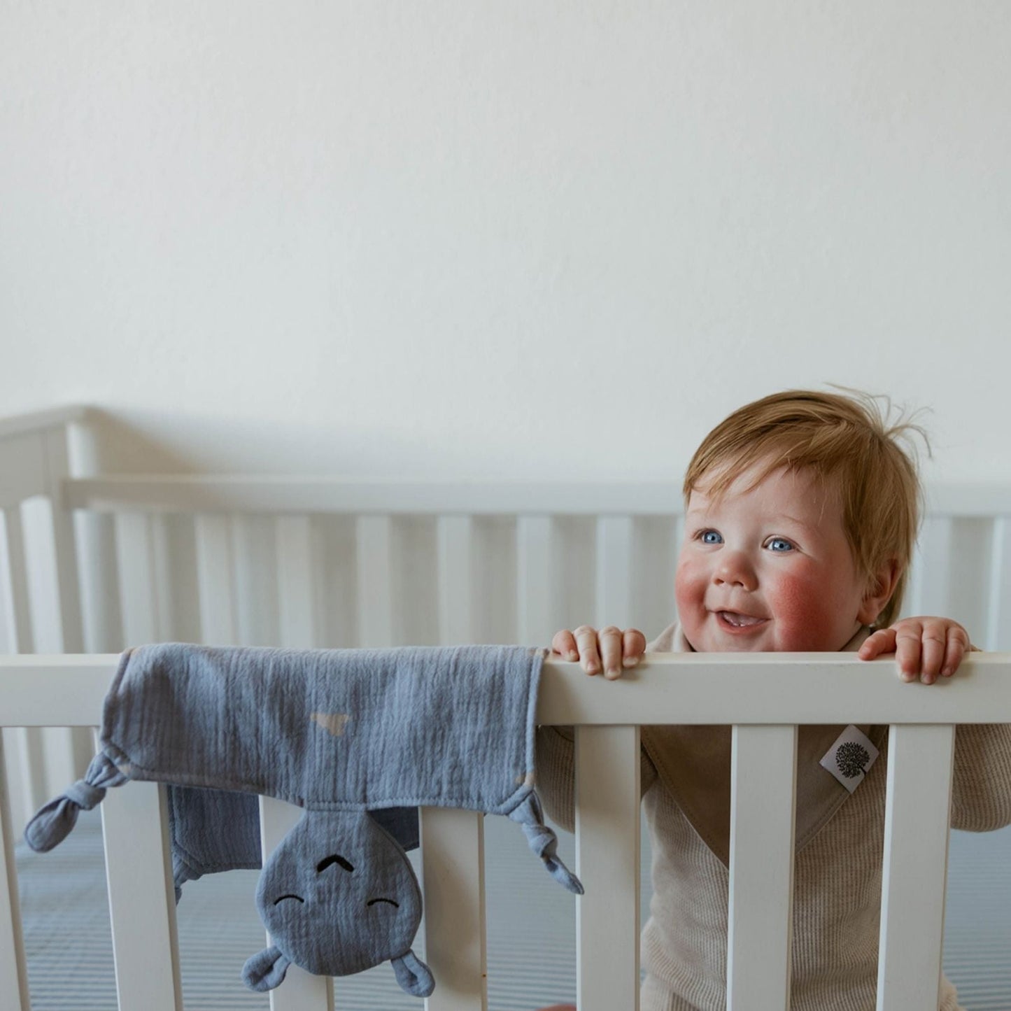 Cloud Muslin Lovey